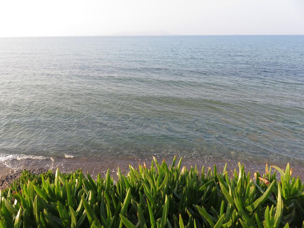 Frosso'S Sea Apartments Kokkini Hani 外观 照片